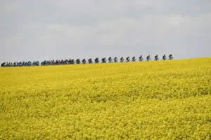 Sport Prints: Cycling-Bel-Fleche-Wallonne