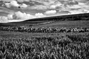 Cycling-Fra-Bel-Tdf2017-Pack-Postcard-Black and White