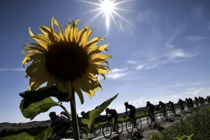 Cycling-Fra-Sui-Tdf2016-Pack-Postcard Cycling-Fra-Sui-Tdf2016-Pack-Postcard