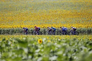 Tour De France - Flower Prints: Cycling-Fra-Tdf-2010-Breakaway-Postcard