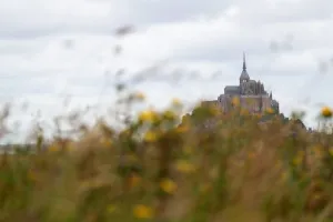 Cycling-Fra-Tdf2016-Feature