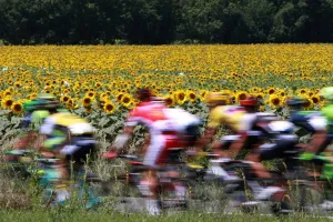 Cycling-Fra-Tdf2016-Pack-Postcard