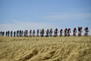 Cycling-Fra-Tdf2017-Pack-Postcard