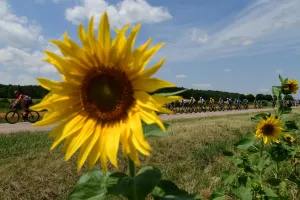 Cycling-Fra-Tdf2017-Pack-Postcard