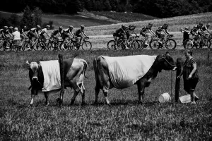 Cycling-Fra-Tdf2017-Pack-Postcard-Black and White