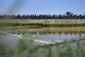CYCLING-FRA-TDF2018-PACK-POSTCARD