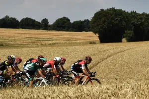 CYCLING-FRA-TDF2018-PACK-POSTCARD