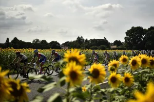 Editor's Picks: CYCLING-FRA-TDF2018-POSTCARD-FANS