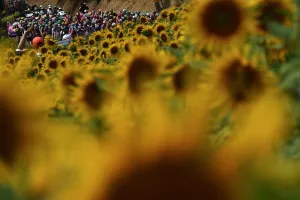 : CYCLING-FRA-TDF2019-PACK-POSTCARD