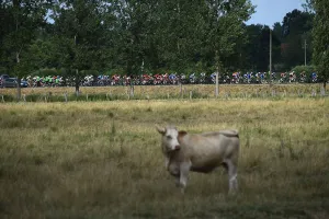 CYCLING-FRA-TDF2019-POSTCARD CYCLING-FRA-TDF2019-POSTCARD