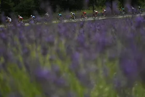 : CYCLING-FRA-TDF2019-POSTCARD-PACK