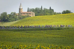 Cycling-France-Pack-Postcard