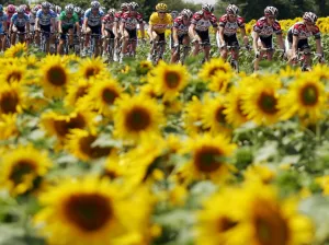 Cycling-Tdf2005-Pack