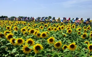 Cycling-Tdf2005-Pack