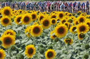 Cycling-Tdf2006-Postcard