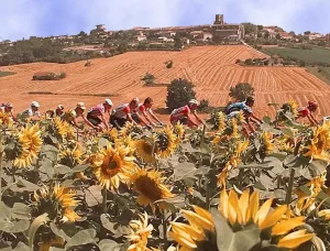 Cycling Tour-Postcard