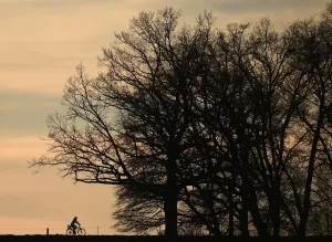 Nature Prints: A cyclist passes along a country lane near the small Bavarian village of Puchheim near Munich