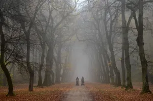 Nature Prints: Czech-Nature-Weather-Feature