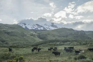 Ecuador-Water-Glacier-Melting