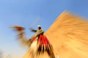 Camel Prints: Egypt-Tourism-Pyramids