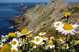 Environnement-Littoral-Bretagne Environnement-Littoral-Bretagne