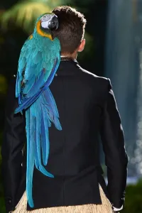 Fashion-Men-Milan-Dsquared2
