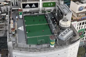 Lifestyle Prints: Fbl-Japan-Pitch-Landscape