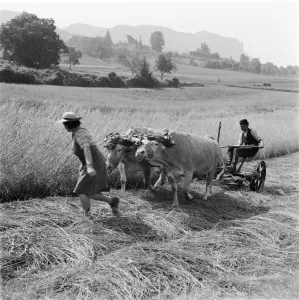 : FRANCE-AGRICULTURE