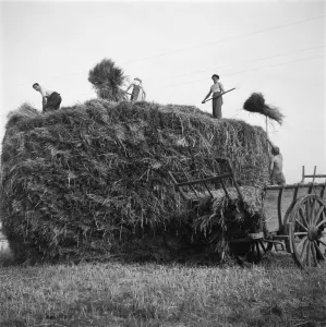 : FRANCE-AGRICULTURE