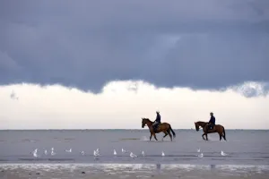 France-Equestrian-Eventing