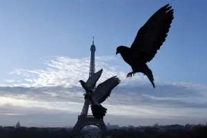 <b class=qtipBold><figcaption>France-Feature-Eiffel-Tower</figcaption></b><br>Pigeons fly in front of the Eiffel Tower at sunrise in Paris on April 3, 2016. / AFP PHOTO / DOMINIQUE FAGET<br><em>© Copyright Agence France-Presse (AFP) - All Rights Reserved</em> France-Feature-Eiffel-Tower