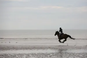 <b class=qtipBold><figcaption>FRANCE-LIFESTYLE-HORSE-RIDING</figcaption></b><br>A woman rides her horse on a beach on March 30, 2017 in Cabourg in the French northern region of Normandy. / AFP PHOTO / LUDOVIC MARIN<br><em>© Copyright Agence France-Presse (AFP) - All Rights Reserved</em> FRANCE-LIFESTYLE-HORSE-RIDING