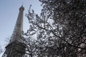 Eiffel Tower Prints: France-Monument-Weather-Feature