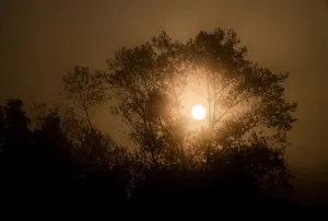 Images Dated 2014 September: France-Nature-Sunrise