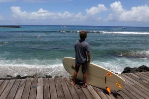 Surf Prints: France-Overseas-Surfing-Shark