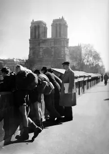 Notre Dame Paris Prints: France-Paris-Seine
