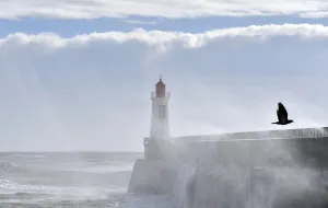 <b class=qtipBold><figcaption>France-Pier-Waves-Birds</figcaption></b><br>Waves breaks against a pier and the lighthouse in Les Sables-d'Olonne, western France, on February 9, 2016. AFP PHOTO / LOIC VENANCE<br><em>© Copyright Agence France-Presse (AFP) - All Rights Reserved</em> France-Pier-Waves-Birds