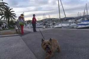 <b class=qtipBold><figcaption>France-Tourism-Feature-Dog</figcaption></b><br>Two women have a walk with their dog on the port of Bandol on June 6, 2016 in Bandol southeastern France. / AFP PHOTO / BULENT KILIC<br><em>© Copyright Agence France-Presse (AFP) - All Rights Reserved</em> France-Tourism-Feature-Dog