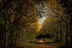 Nature Prints: France-Weather-Autumn