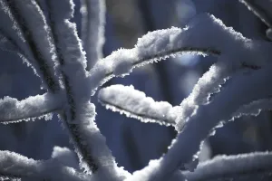 France-Weather-Feature