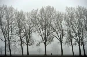 Germany-Bavaria-Weather-Feature
