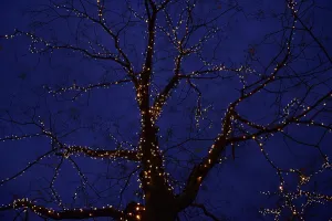 Christmas - Xmas Prints: Germany-Christmas-Decorations