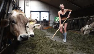 Germany-Lifestyle-Calendar