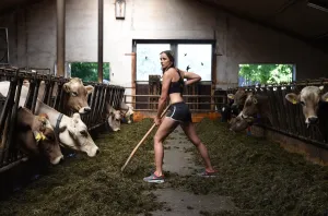 Germany-Lifestyle-Calendar