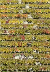 Nature Prints: Germany-Weather-Autumn