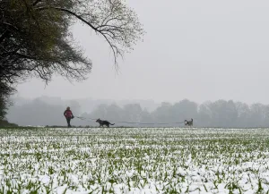 Nature Prints: Germany-Weather-Bavaria