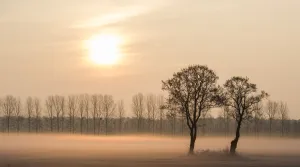 Climatology And Meteorology Prints: Germany-Weather-Feature