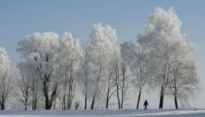 Germany-Weather-Feature