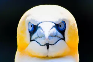 Germany-Zoo-Feature