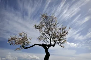 Cloud Prints: Greece-Weather-Feature
